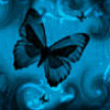 Butterfly 2