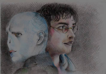 Lord Voldemort and  Harry  Potter