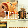 Banner Hufflepuff