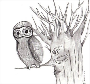 The Owl and the Tree