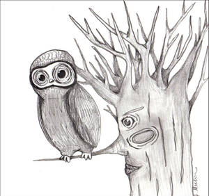 The Owl and the Tree