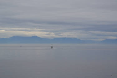 Olympic mountains