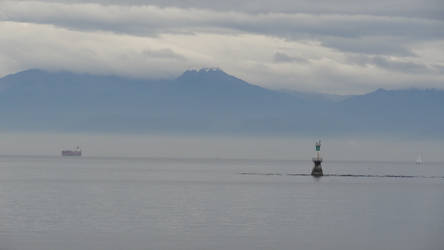 olympic mountains