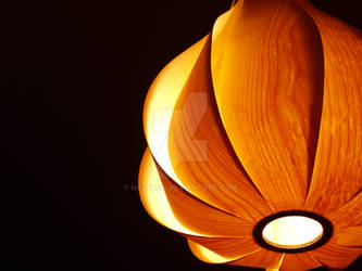 Wooden Lamp II