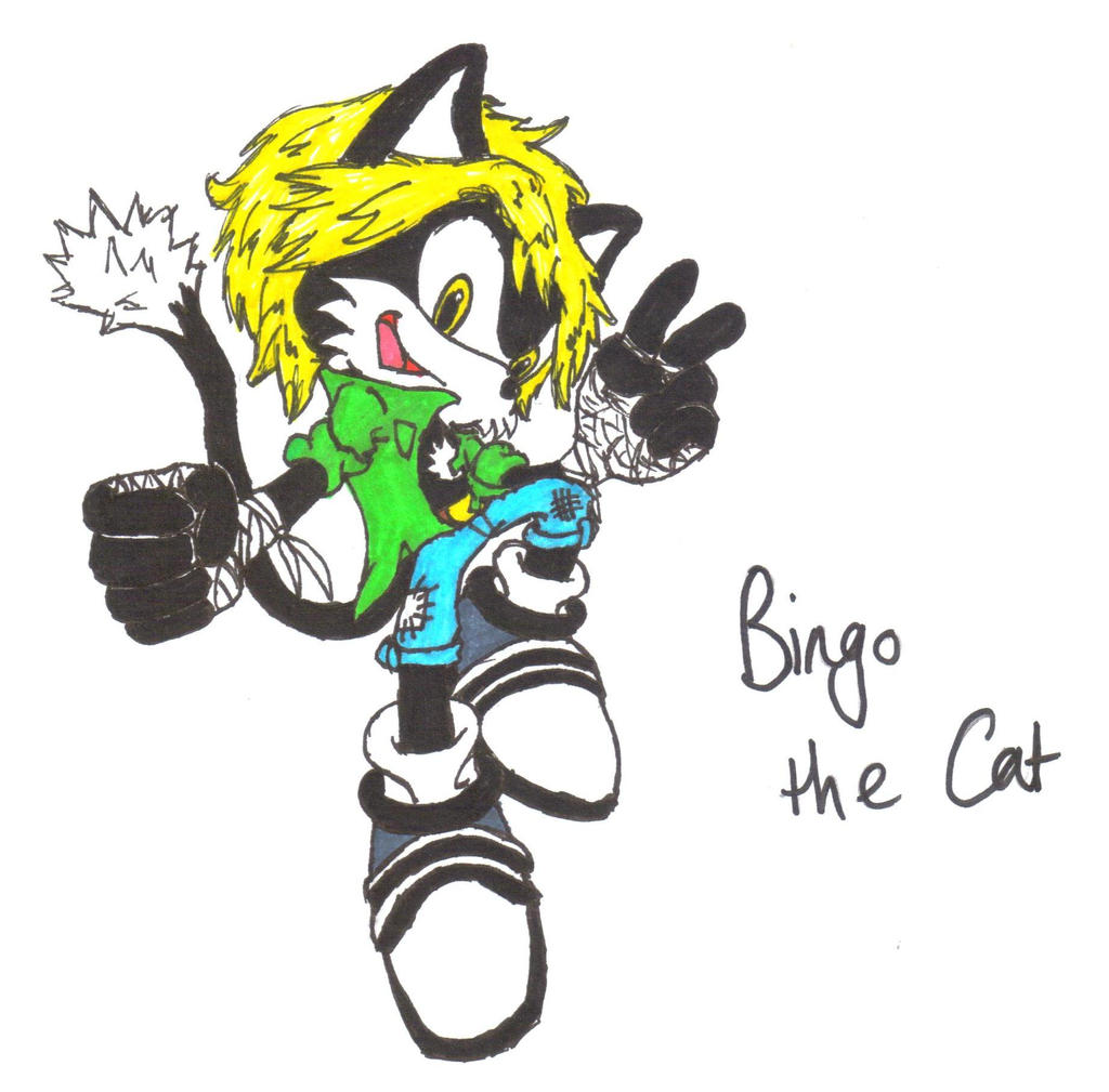 Bingo the Cat, DRAWN BY HAND