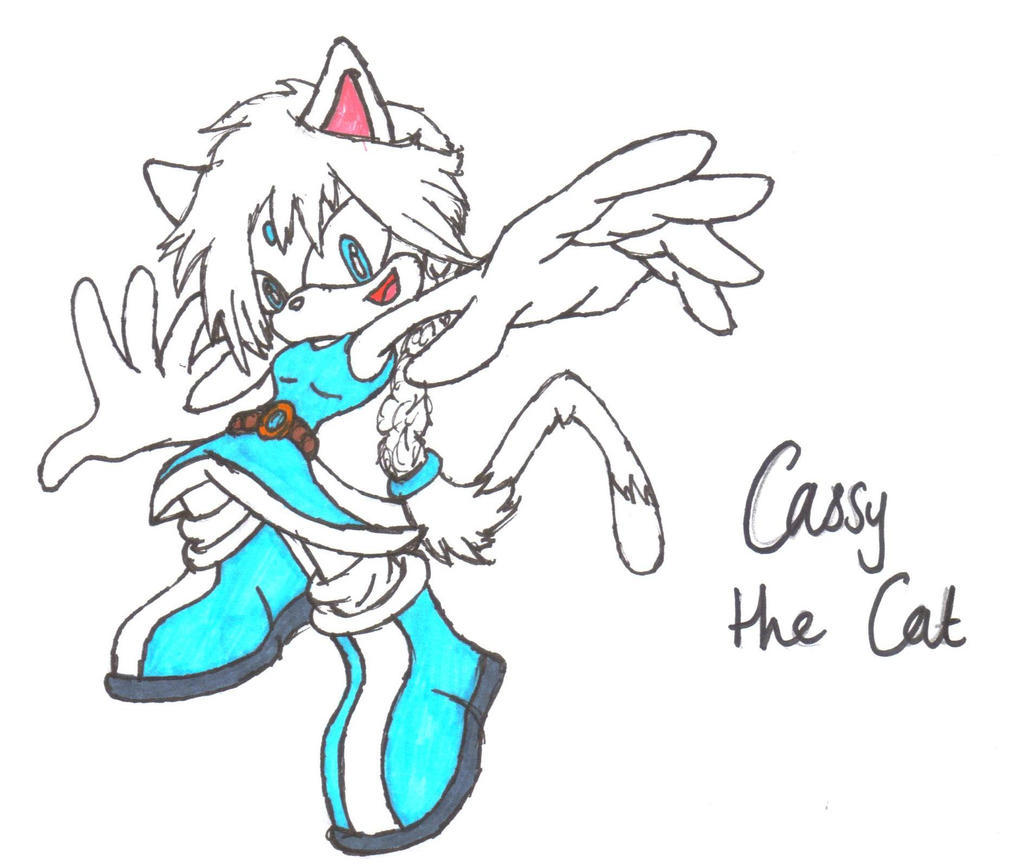 GIFT - Cassy the Cat YOUNG, DRAWN BY HAND