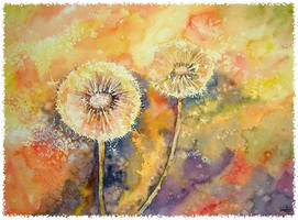 Dandelion I