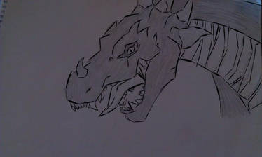 Dragon Drawing Outlined