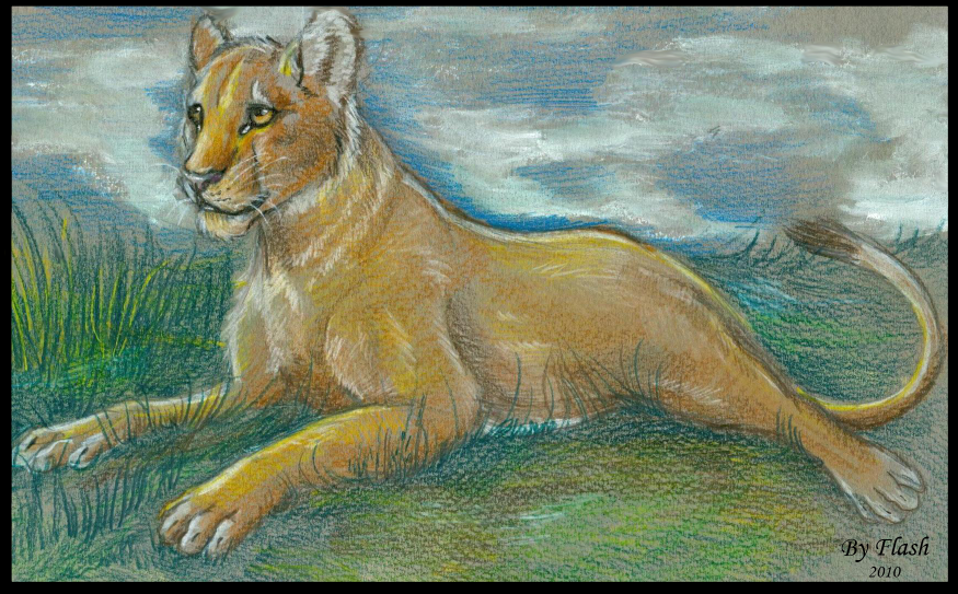 Lioness