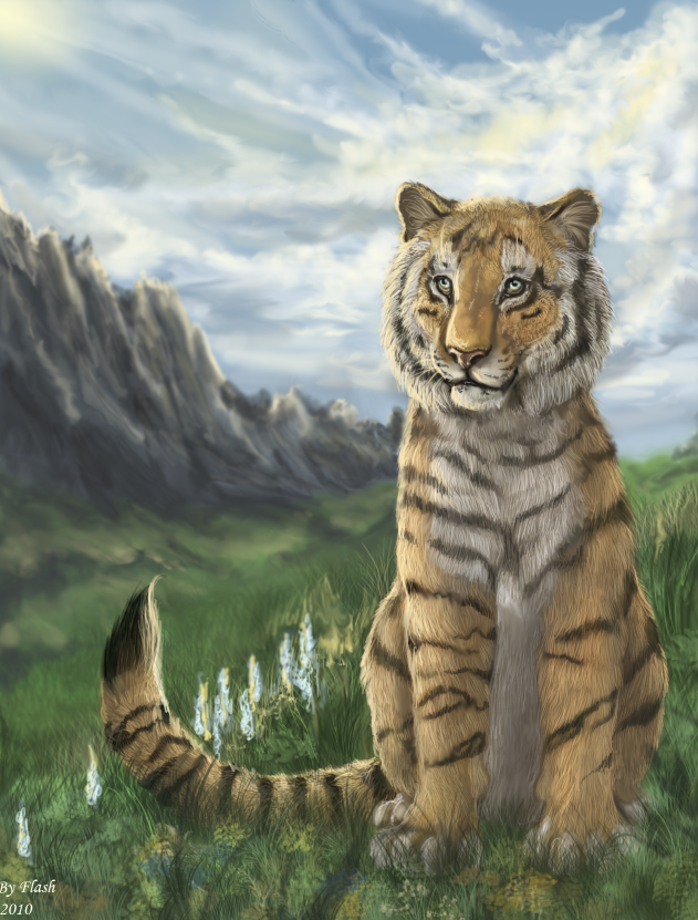 Tiger and mountains