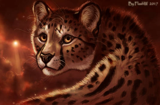 King cheetah