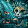 Water cat