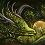 The heart of forest