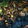 Jungle lights
