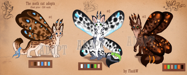 The cat moth adopts (Fixed price)