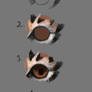 Tiger's eye (Step by step)