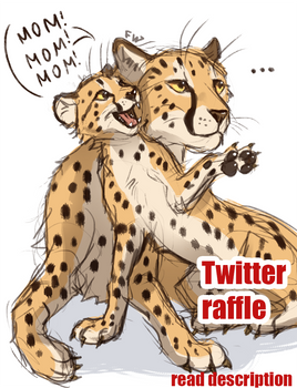 Raffle on Twitter (new)