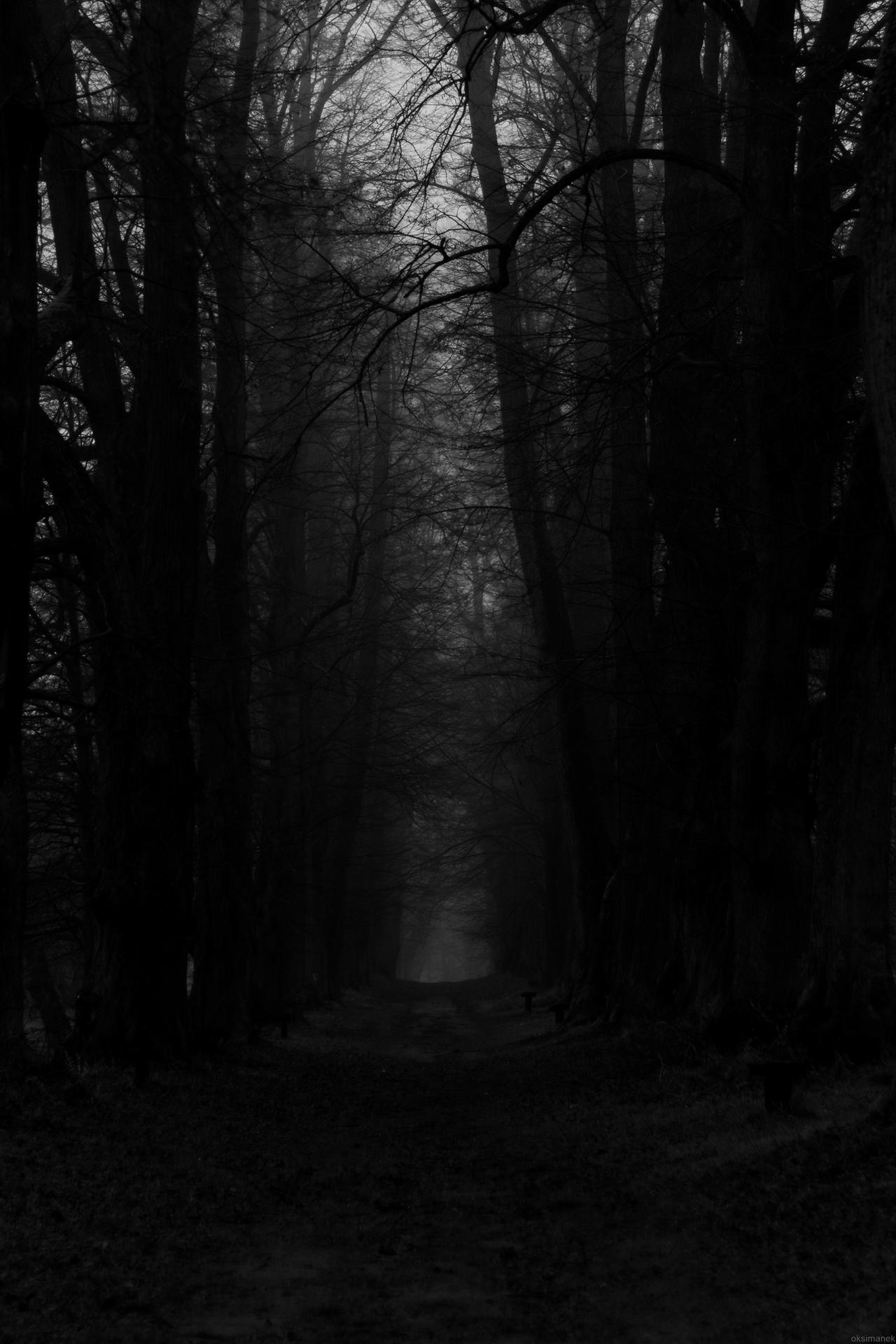 Path