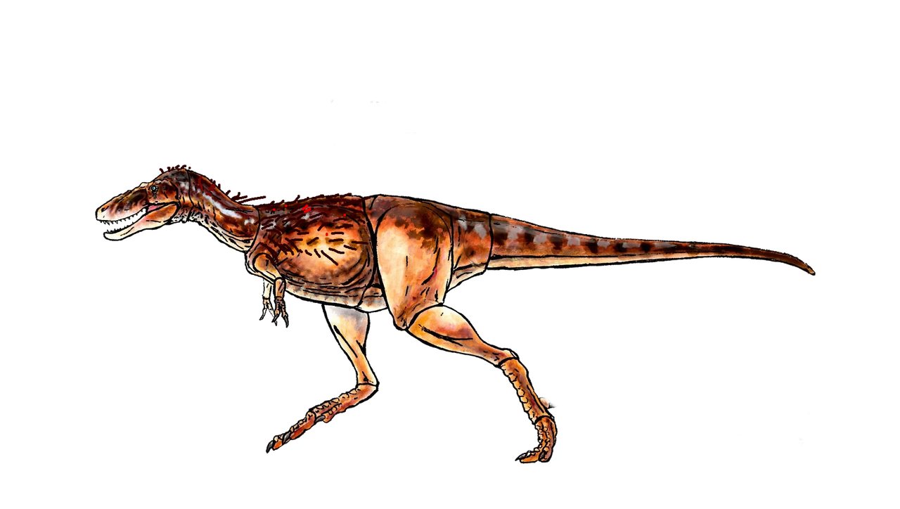 BOTM Juvenile T rex But With Feathers And Injuries by ...