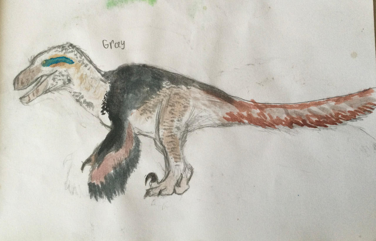Colorful Utah Raptor Utahraptor color study by HeadProductions1014 on DeviantArt