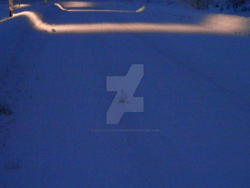 Riekko by SoulFullOfSadness on DeviantArt