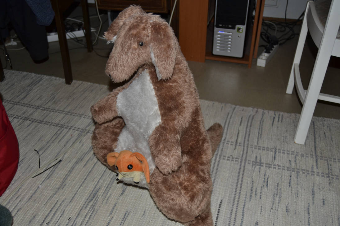 Kangaroo plush(with patamon plush in his pouch XD) by SoulFullOfSadness