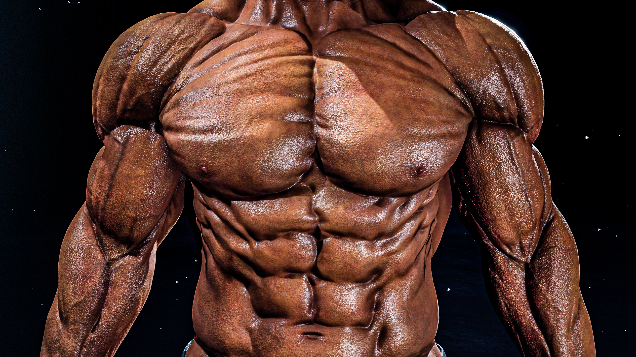 Moderate Build Torso Torso Muscle by NgTDat on DeviantArt