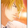 The Chef   -Sanji-