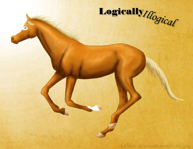 KmR Logically Illogical