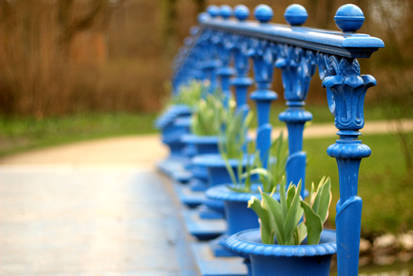 Detail der Fuchsienbruecke