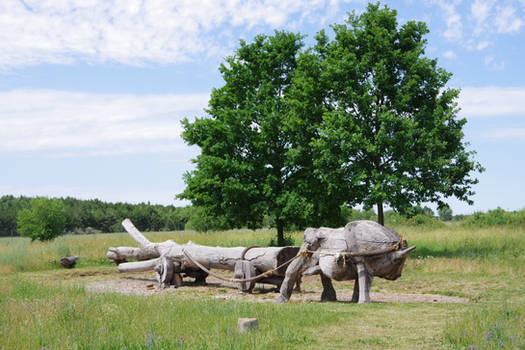 Ochsengespann aus Holz