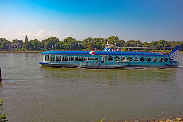 Moby Dick auf dem Rhein