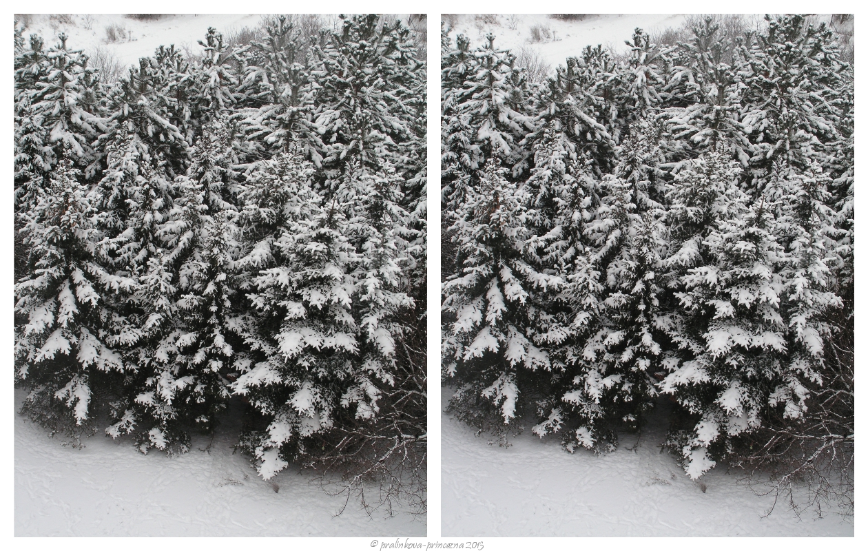 Stereoscopy: Winter forest