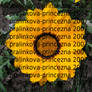 Stock9 - Yellow flower