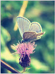 Vintage blue by irgendeine