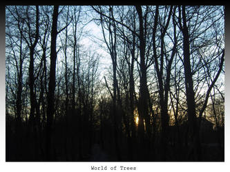 World of trees