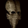Excarnate mask