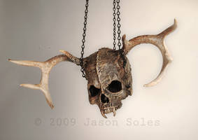 Horned Skull sculpture