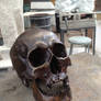 2014-03-08 Bronze Skull