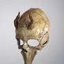 Leviathan Cross Mask