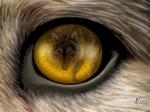 Wolf's eye