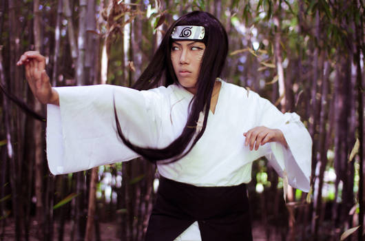 Naruto: Neji Hyuga