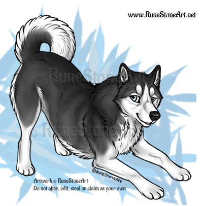 Husky Deviantart Playing Husky by RuneStoneArt on DeviantArt