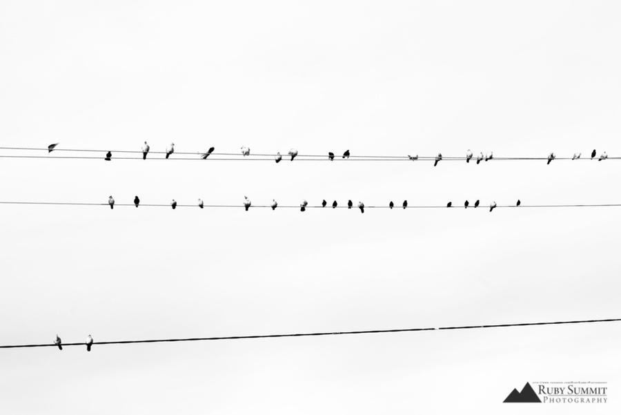 (Not) Parallel by RubySummit