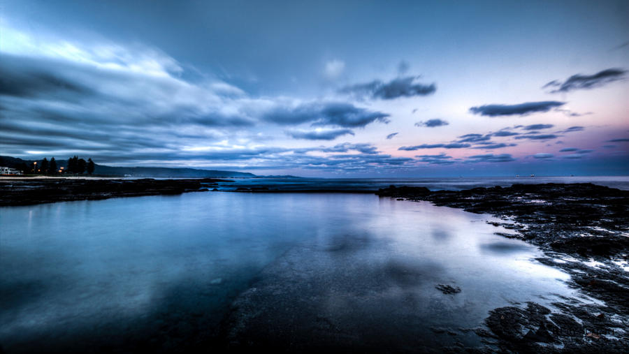My New Backyard. by lilfairywren My New Backyard. by lilfairywren