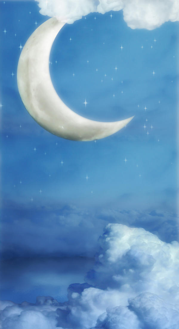 Dream Night
