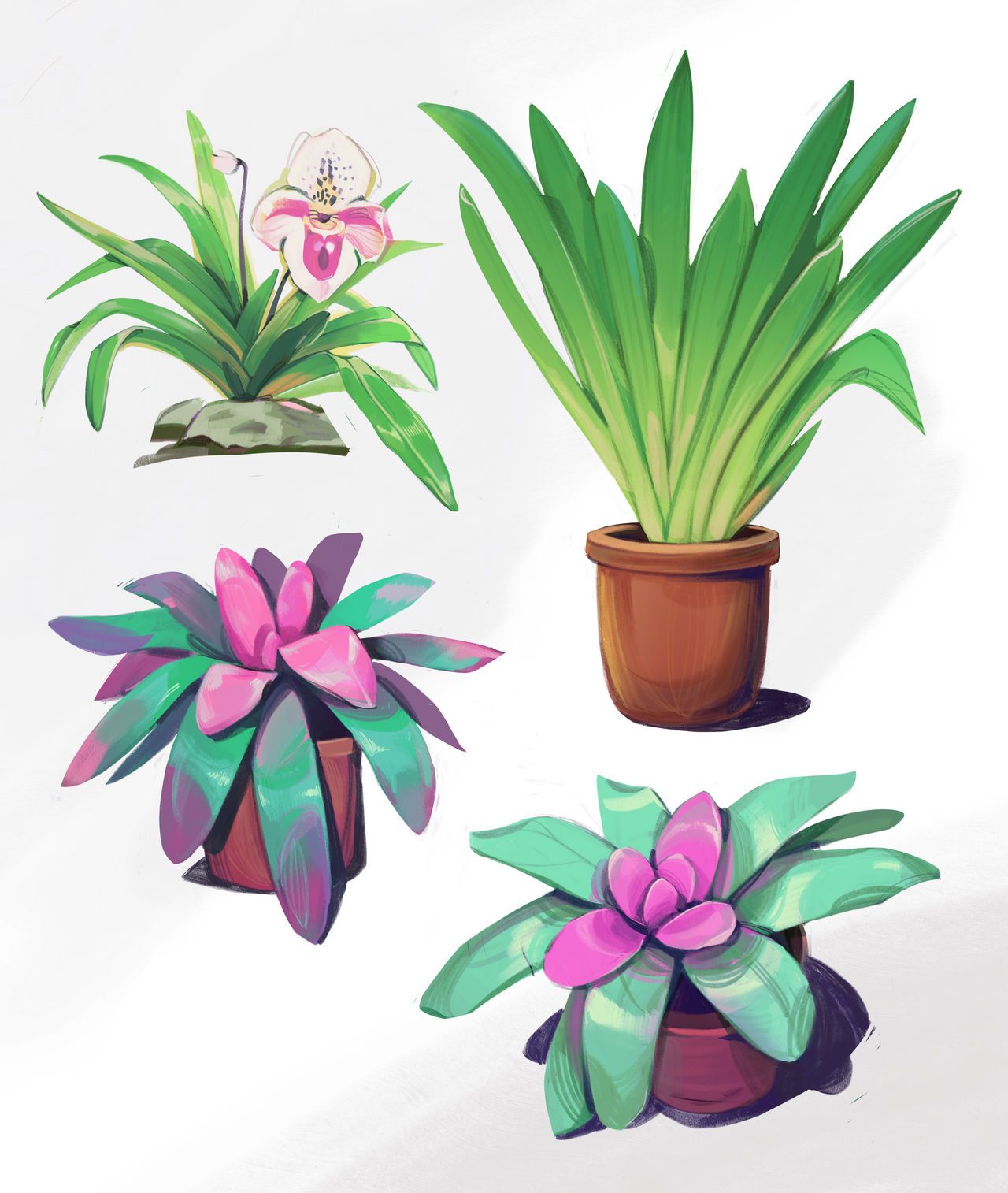 Plant Deviantart Plant by MariaKanigina on DeviantArt