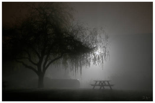 fog.of.a.night