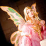 The Pink Masquerade Fairy