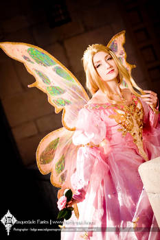 The Pink Masquerade Fairy